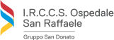 IRCCS Ospedale San Raffaele
